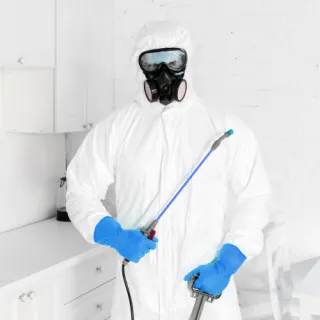 Studio - Cockroaches Control