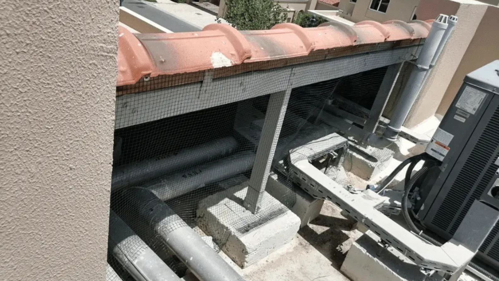 Untitled design (10)