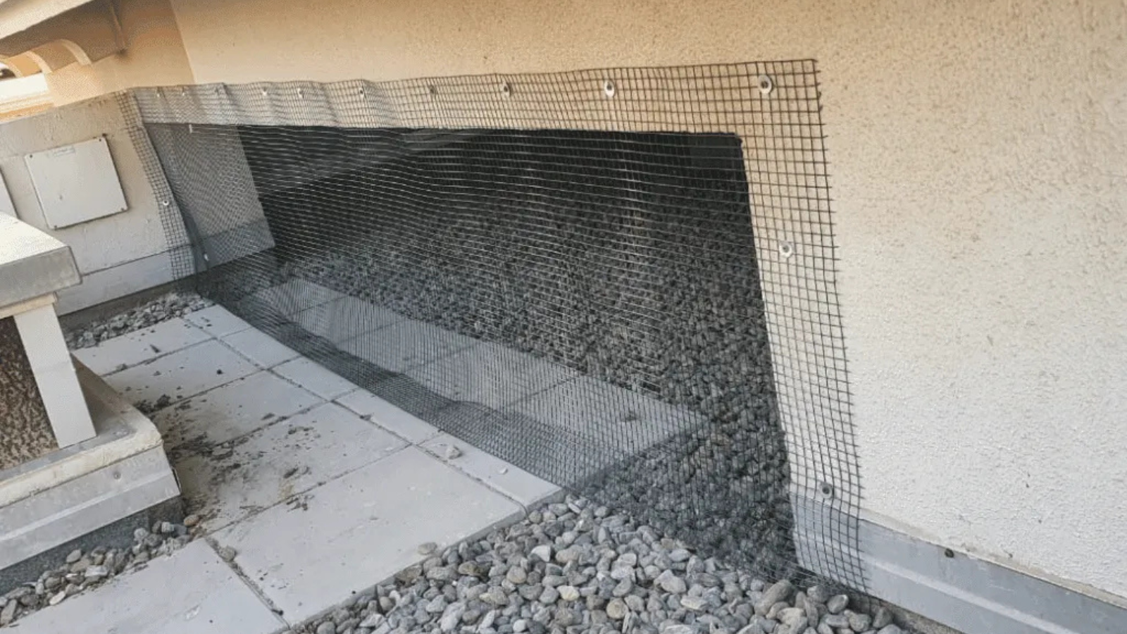 Untitled design (11)