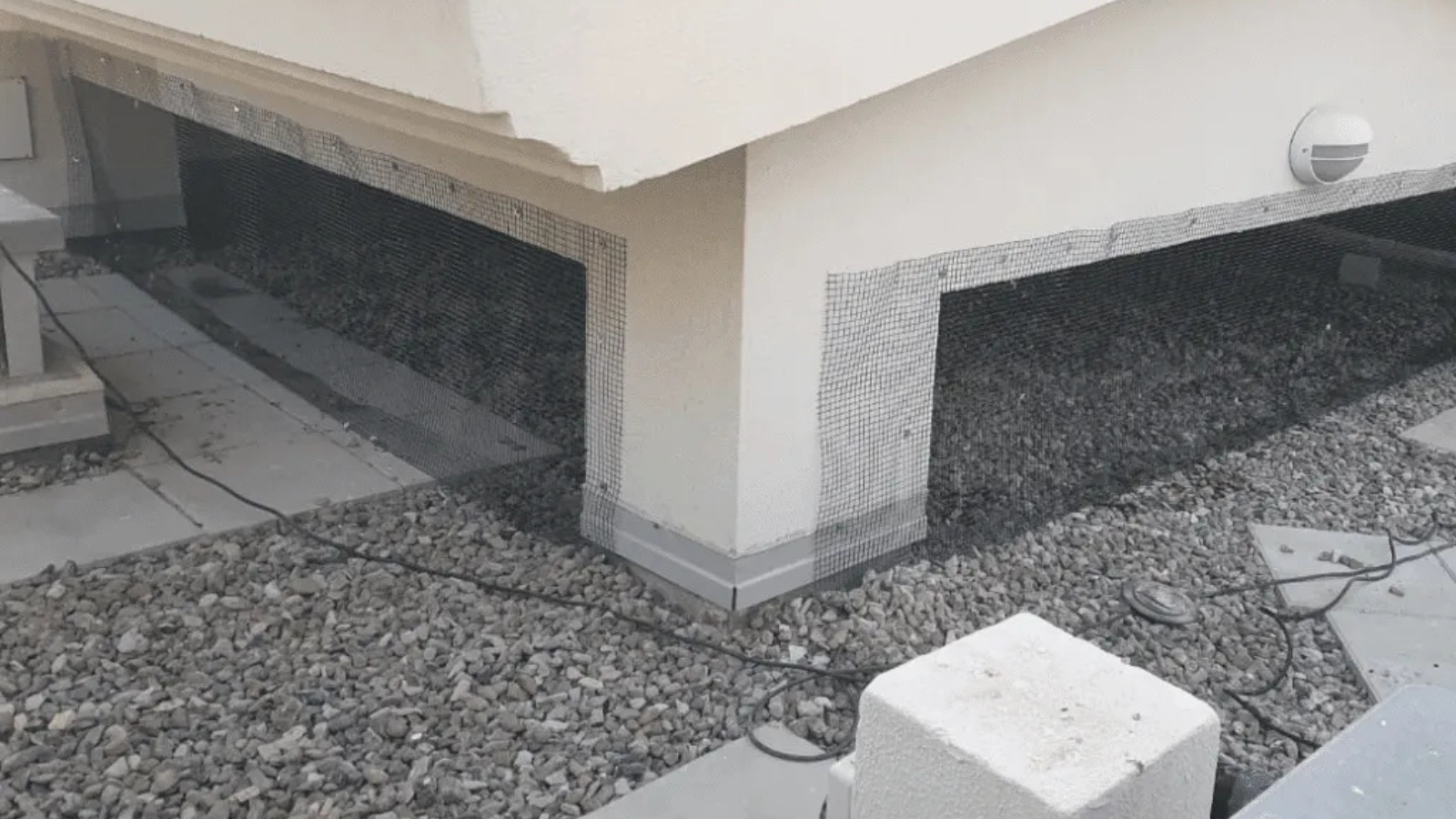 Untitled design (12)