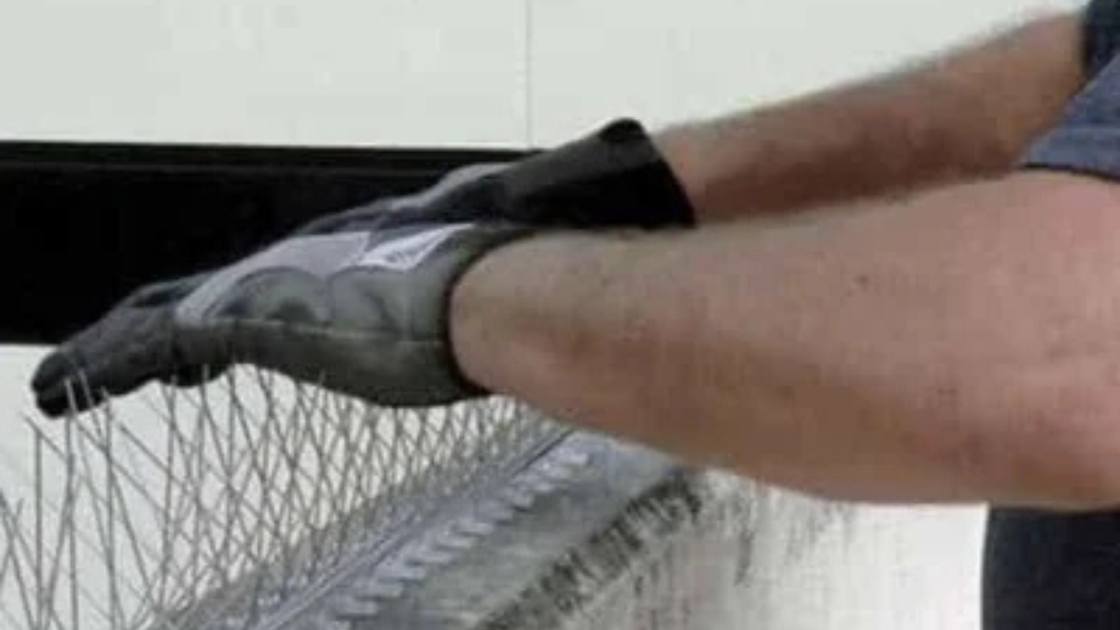 Untitled design (13)