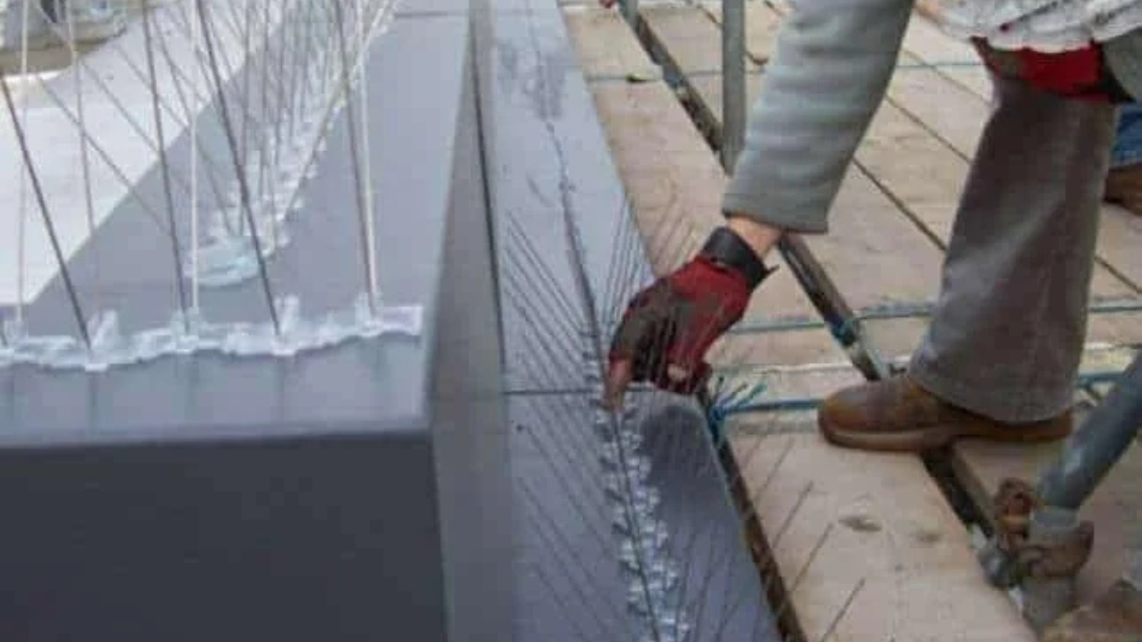 Untitled design (17)