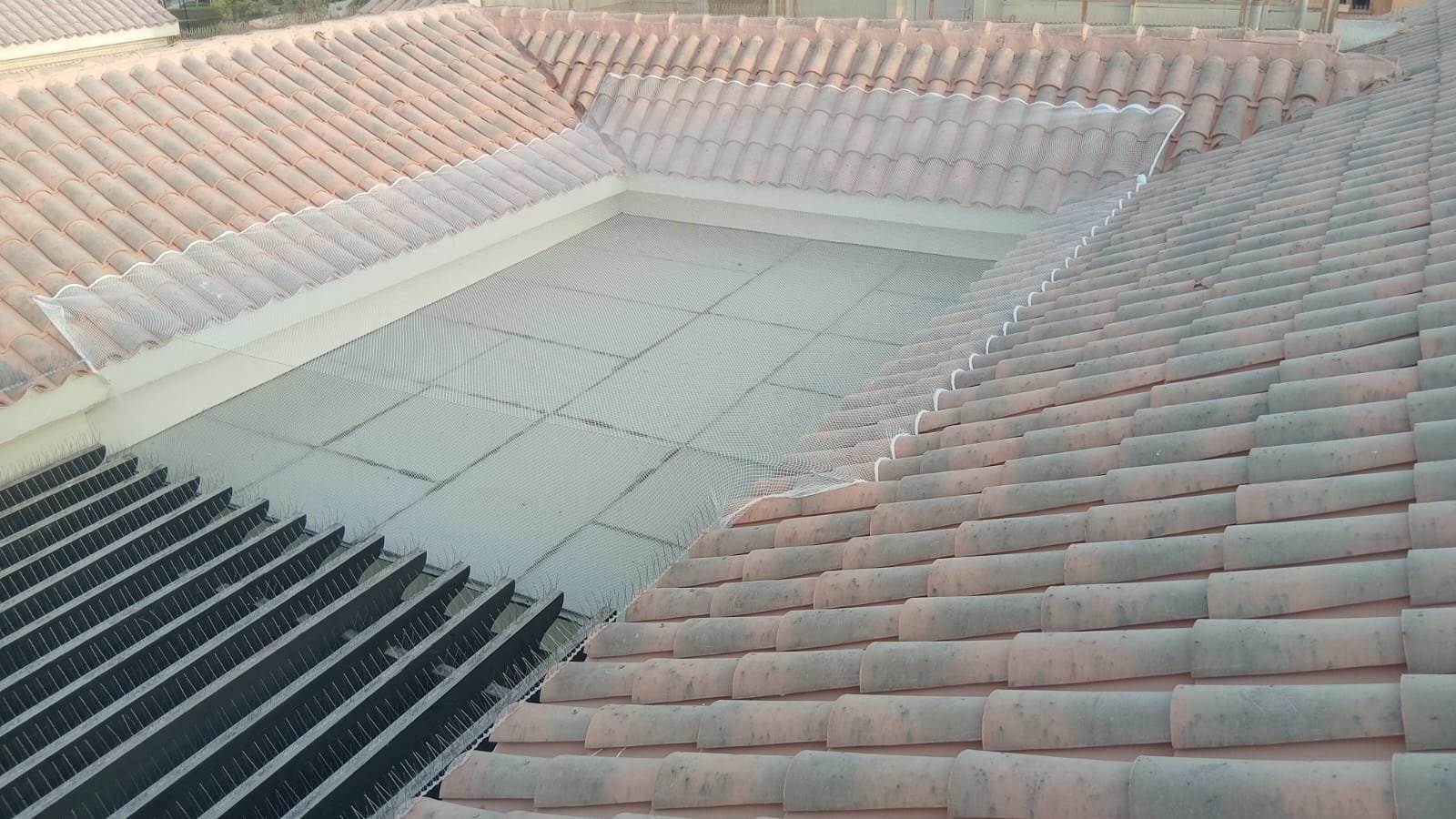 WhatsApp Image 2025-09-04 at 6.41.13 PM