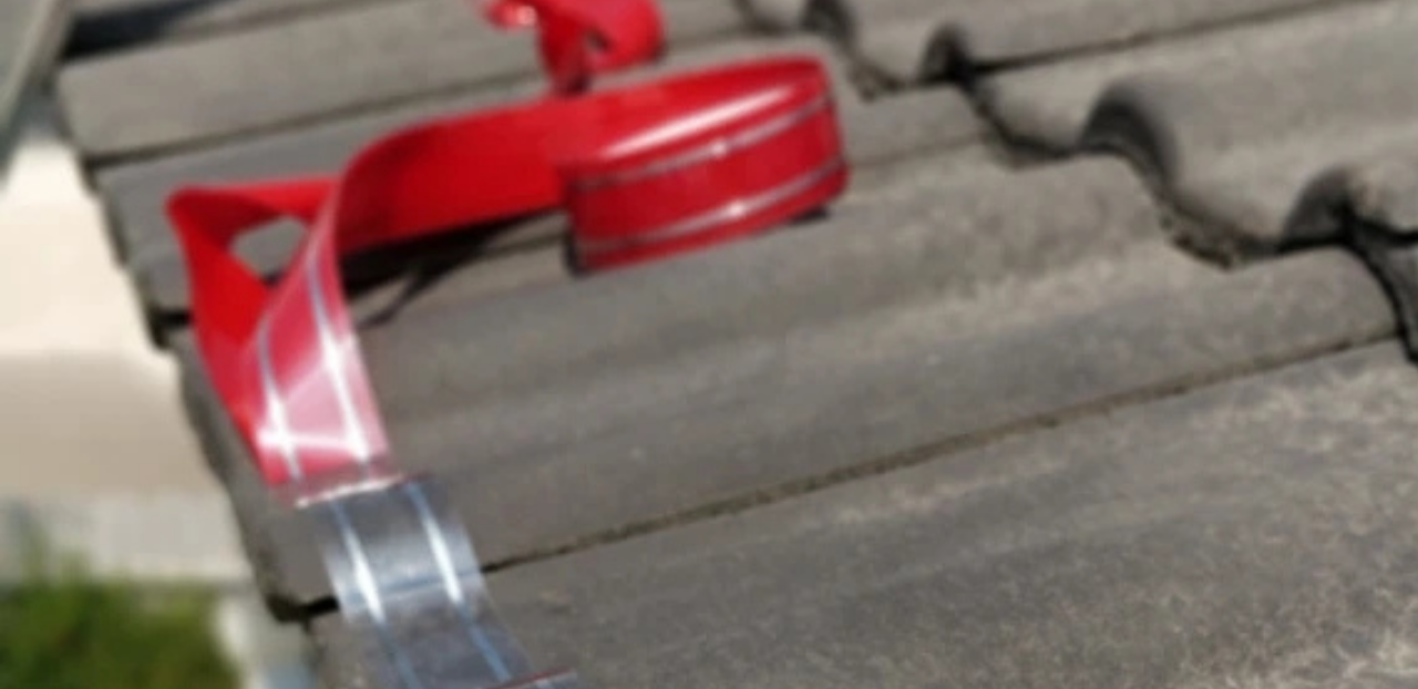 Untitled design (63)